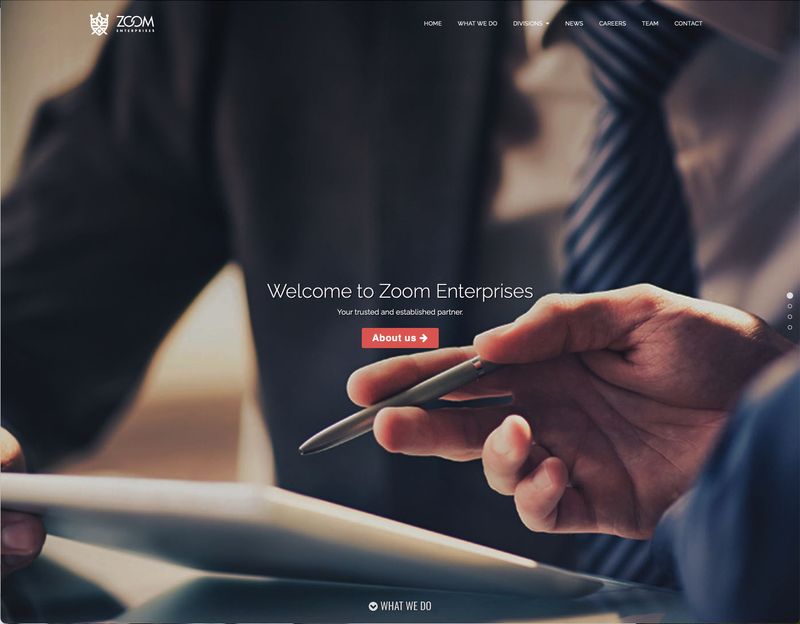 Zoom Enterprises